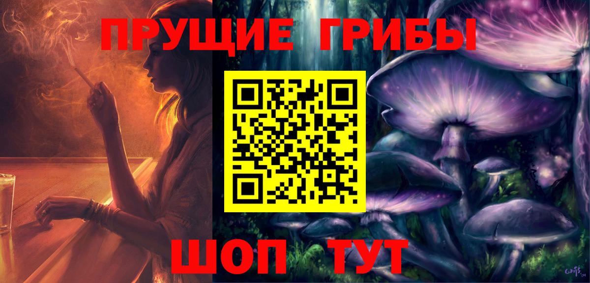 Галлюциногенные грибы Psilocybine cubensis Кимовск