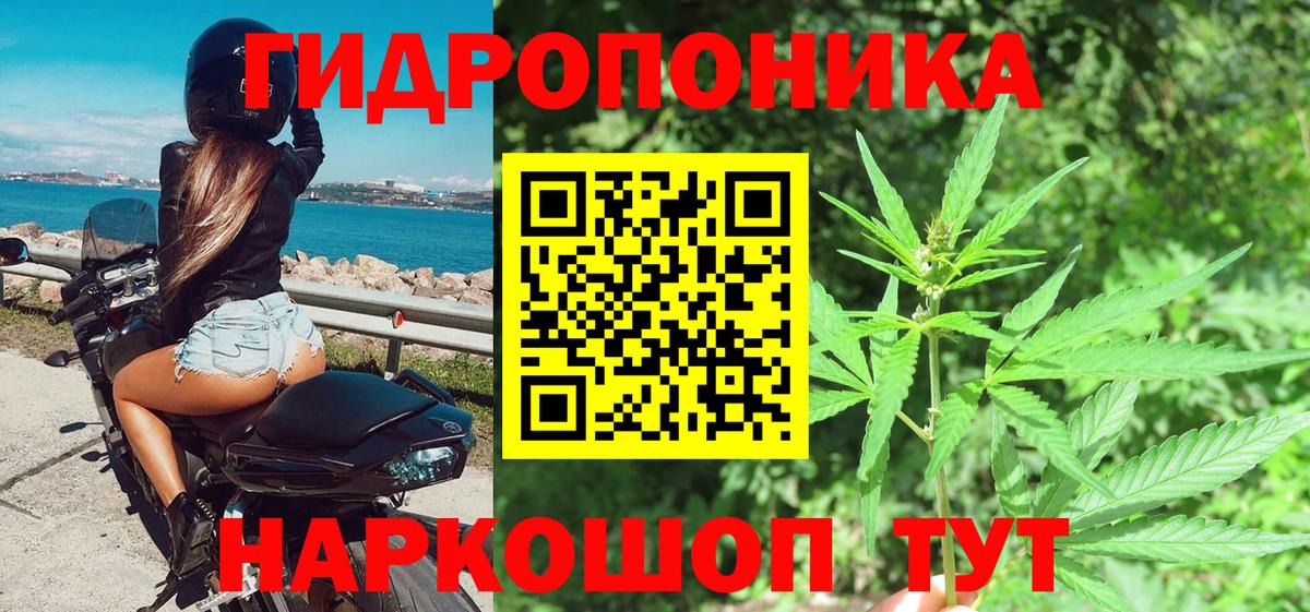 Канабис SATIVA & INDICA Кимовск